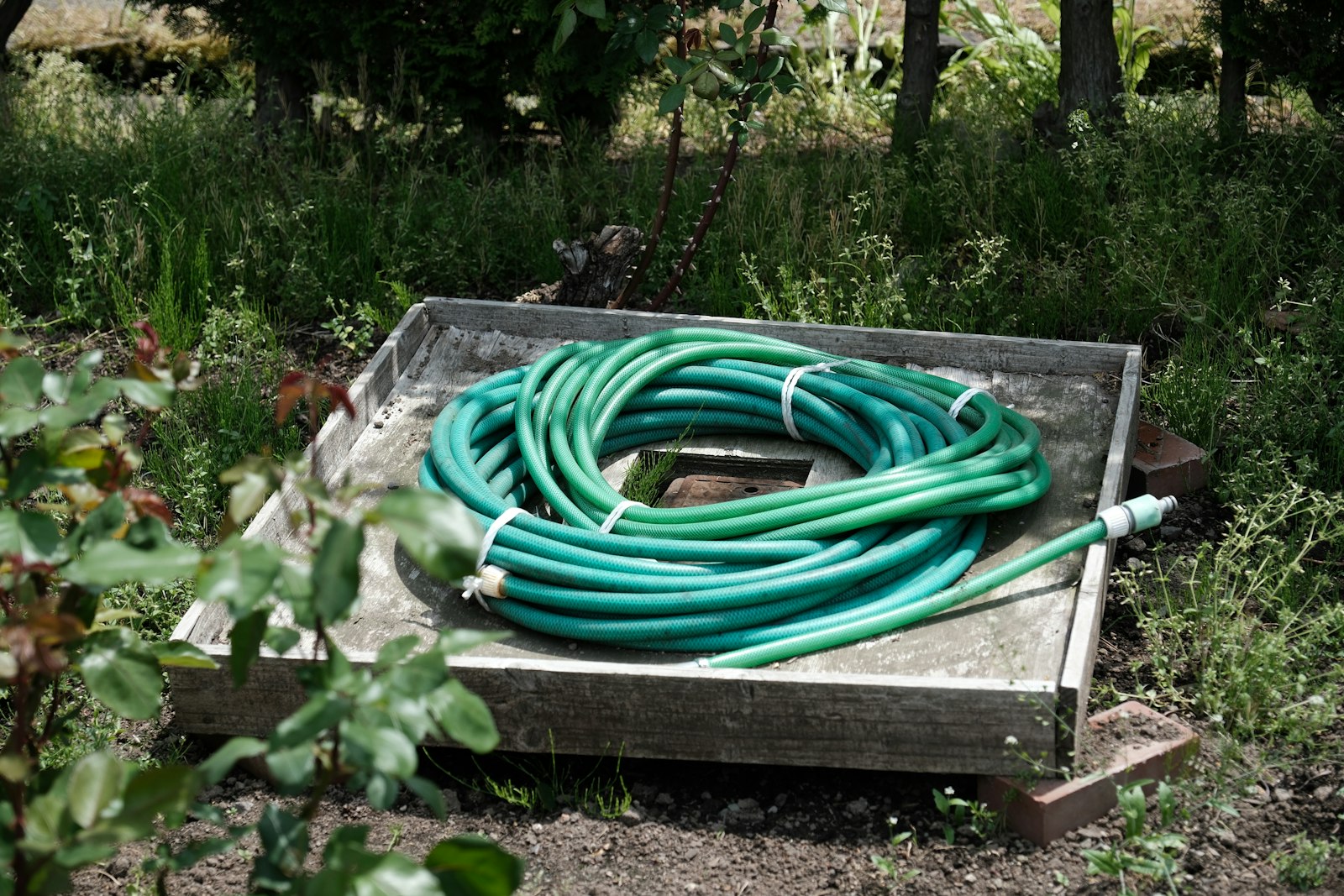 Air Hoses, Fittings & Lubricators