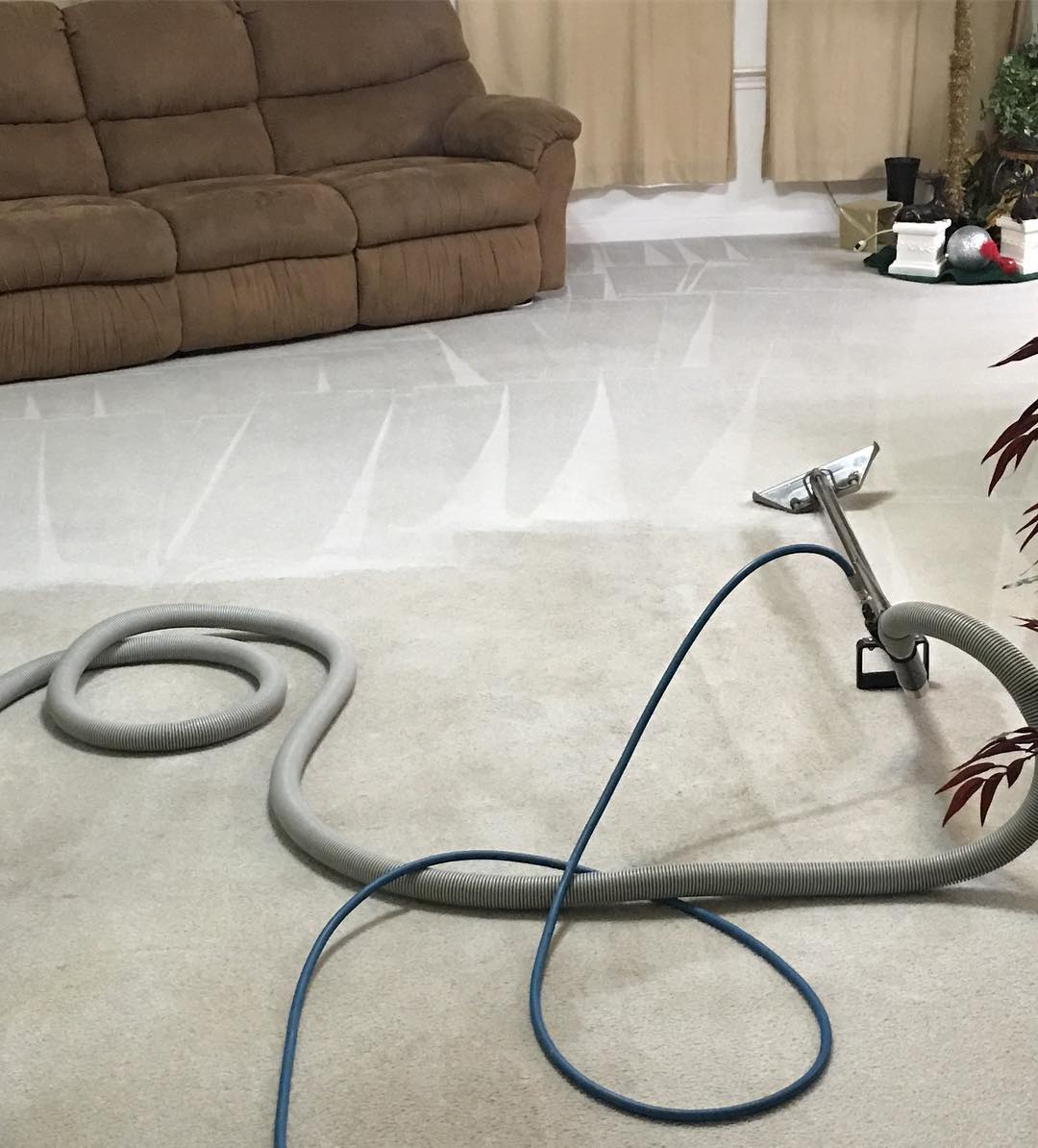 Carpet Cleaners