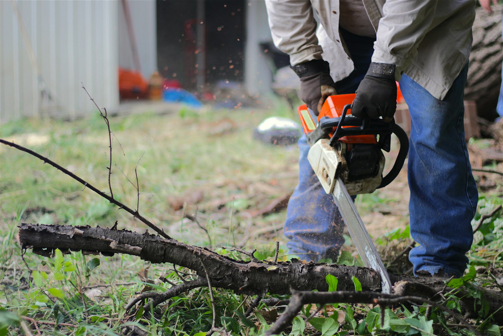 Chainsaws & Timber Saws