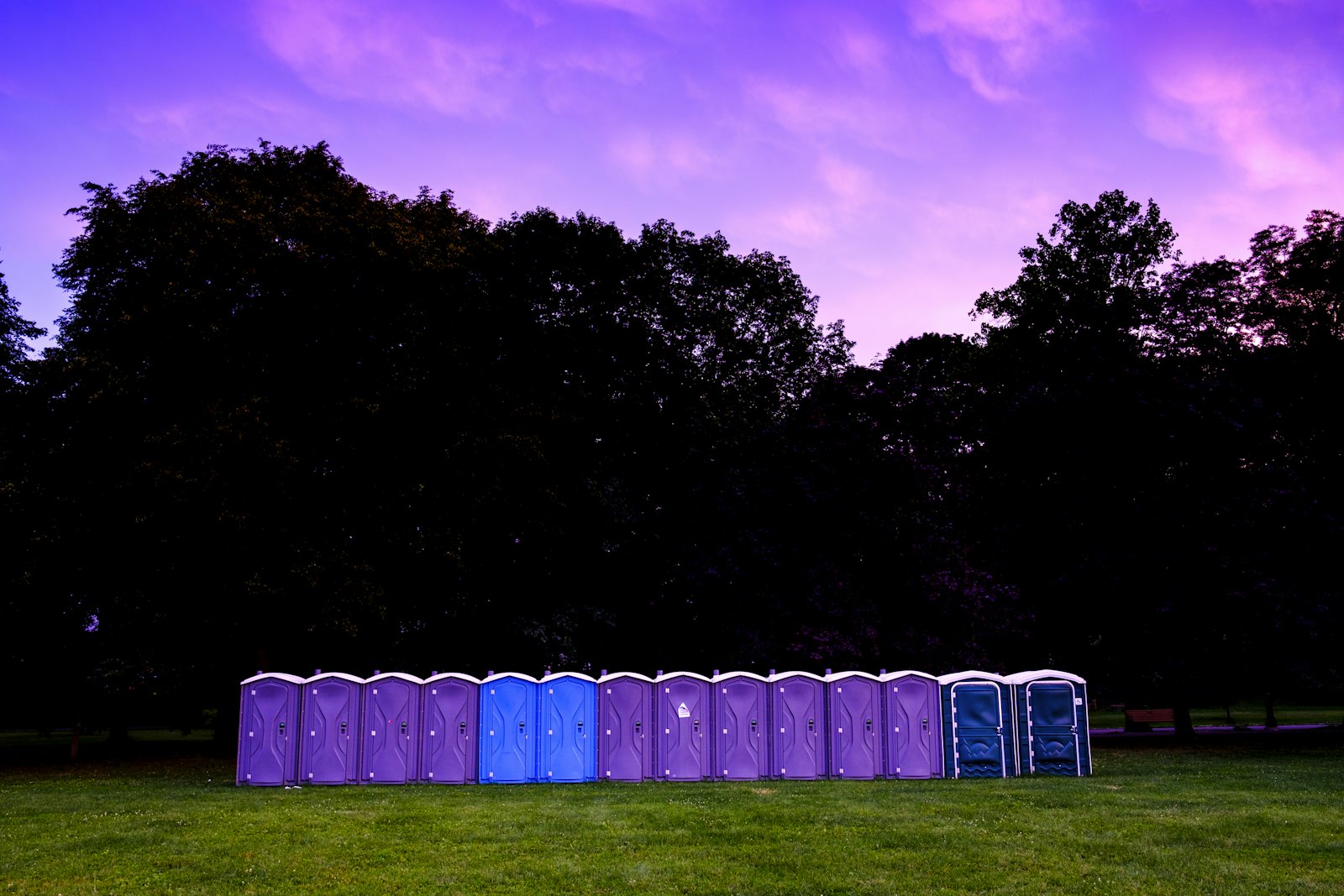 Event Welfare & Toilets